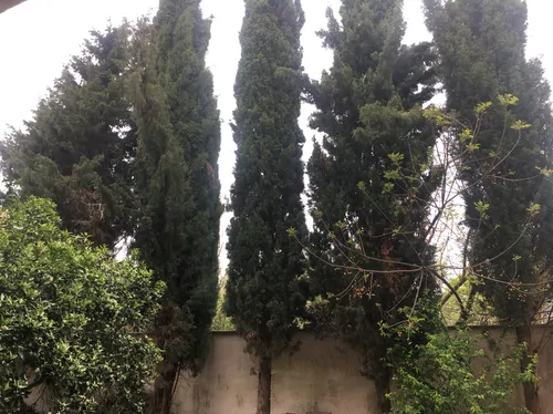 تصویر 3 - ویلا لاک چری نمومنه ترین مروارید در ساری