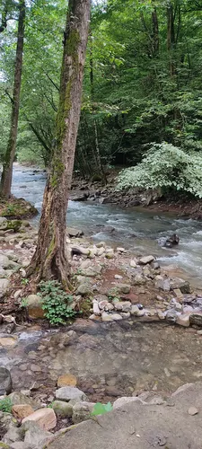 تصویر 23 - ویلا ناورود در اسالم