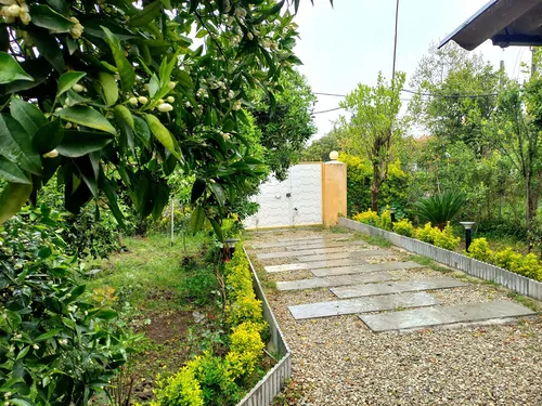 تصویر 23 - کلبه چیکا درمیان باغ پرتقال دلباز در شهسوار
