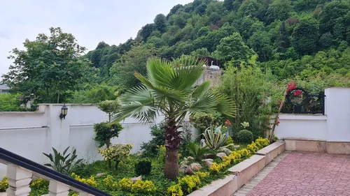 تصویر 25 - ویلا استخردار آبگرم سفید با فوتبال دستی در شهسوار