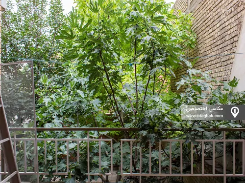 تصویر 1 - خانه ویلایی سبز جهانی در  اصفهان