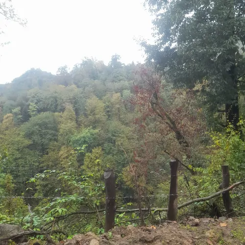 تصویر 4 - روستایی و عشایری خانه شیرین در تالش