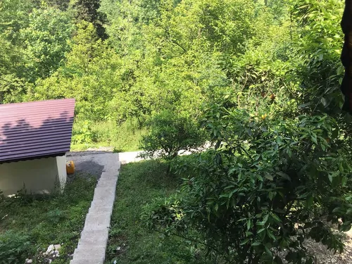 تصویر 17 - کلبه سوئیسی آبشار در  عباس آباد