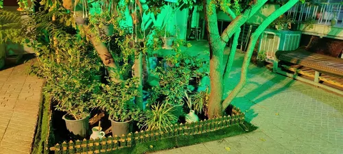 تصویر 30 - ویلا بیت الهادی نزدیک به حرم در  مشهد