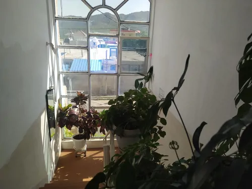 تصویر 28 - خانه مبله پاکباز در  دنا