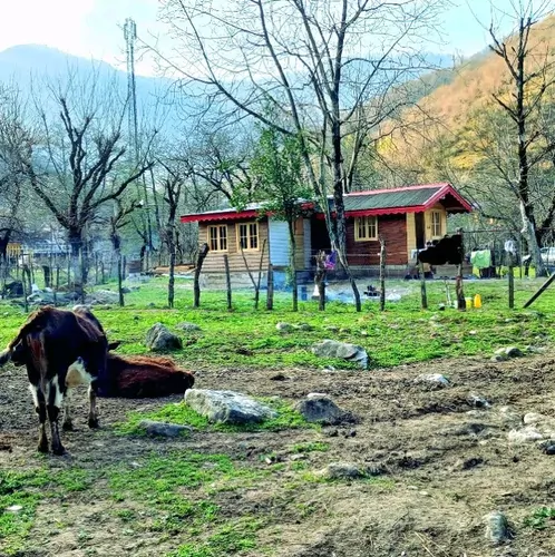 تصویر 2 - کلبه جنگلی توسکا در ماسال