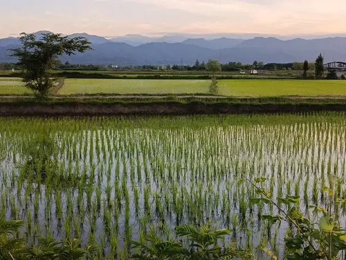 تصویر 14 - ویلا گلایل در پرهسر