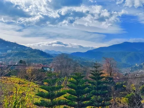 تصویر 30 - کلبه جنگلی مهر با جکوزی  در  رامسر