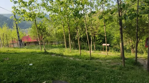 تصویر 6 - کلبه چوبی آرامش در  ماسال