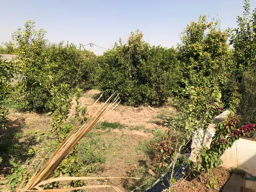 تصویر 16 - ویلا استخردار آبگرم سرو در  دزفول