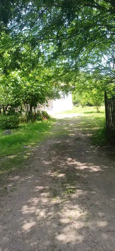 تصویر 24 - ویلا سراکه در ماسال