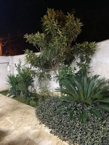 تصویر 2 - ویلا دوبلکس استخر اب گرم لیلی در چالوس