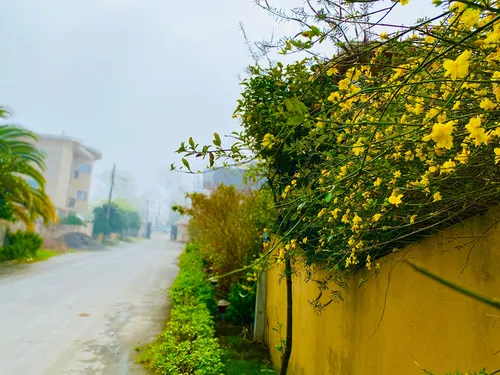 تصویر 11 - ویلا دوبلکس ساحلی پامچال در  نور