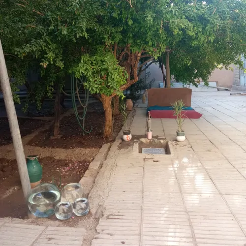 تصویر 2 - ویلا باغ انار در کرمان