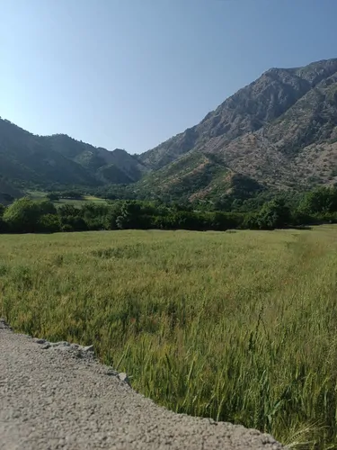 تصویر 11 - خانه مبله شیوند  در  ایذه