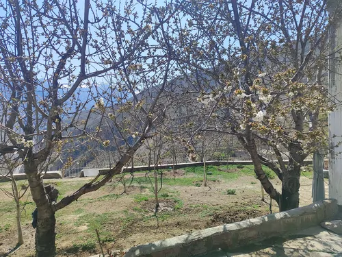 تصویر 18 - ویلا سعیدی با فوتبال دستی در رینه