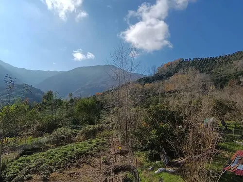 تصویر 16 - ویلا جنگلی سبز در  املش