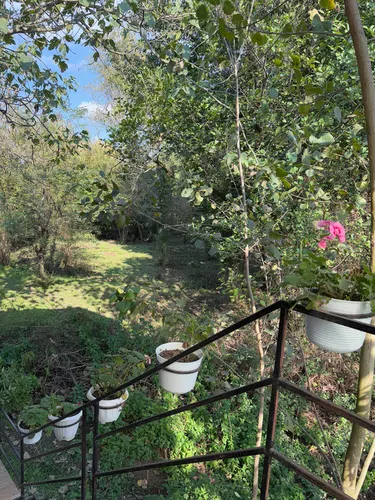 تصویر 14 - ویلا هیراد در ماسال