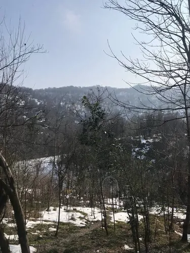 تصویر 12 - کلبه چماچا  در  رشت