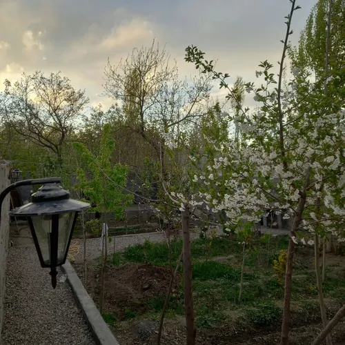 تصویر 11 - ویلا باغ شاندیز در  شاندیز