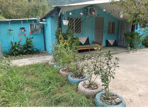 تصویر 6 - ویلا جنگلی آسایش در  سوادکوه