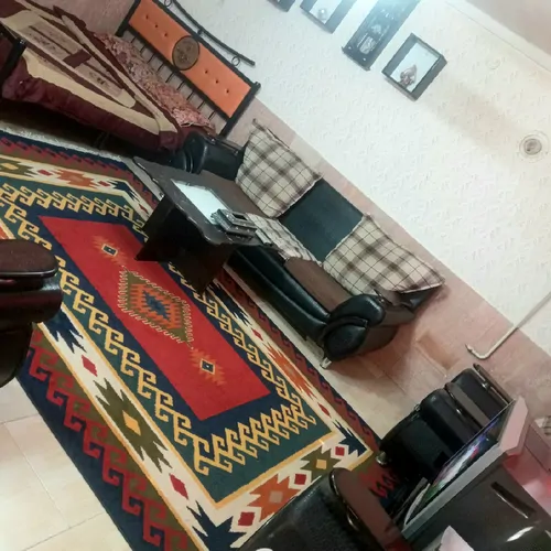 تصویر 3 - خانه مبله انگوری در نیشابور