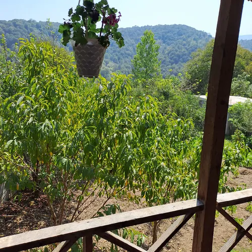 تصویر 3 - اقامتگاه بوم‌گردی چافر چال در شیرگاه