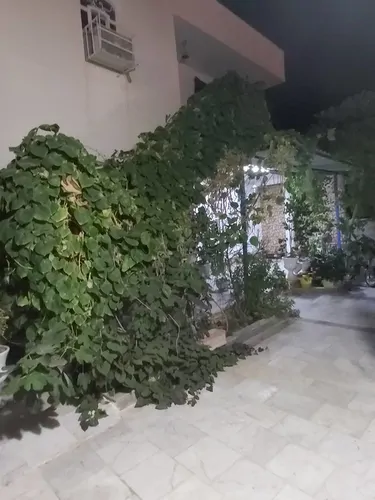 تصویر 7 - خانه مبله دریا در  پارسیان