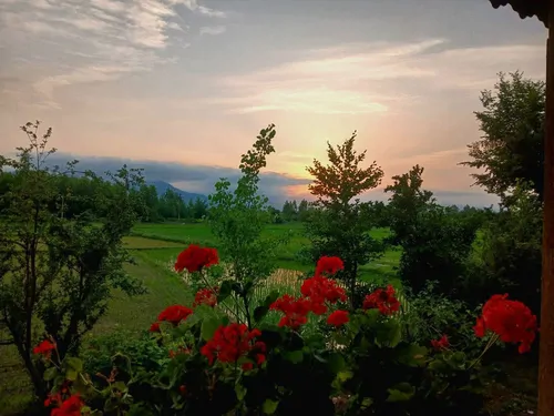 تصویر 20 - ویلا جنگلی روستایی مهر در  ماسال