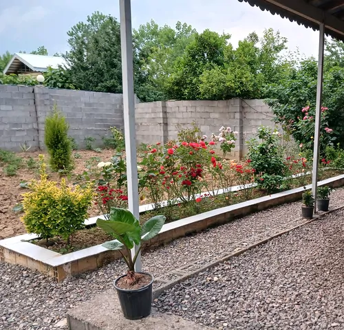تصویر 16 - ویلا سرای پدری  در  صومعه‌سرا