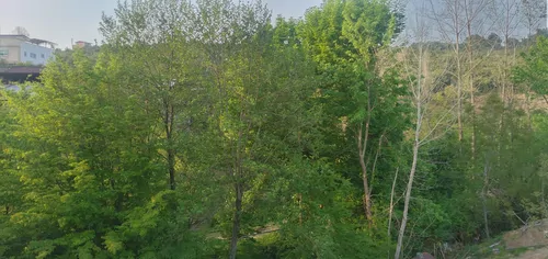 تصویر 30 - ویلا رایکا (1) جکوزی دار در سوادکوه