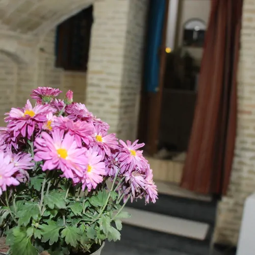 تصویر 11 - اقامتگاه بوم‌گردی عمارت سنتی گلابگیر (واحد7_شیراز)  در  قم