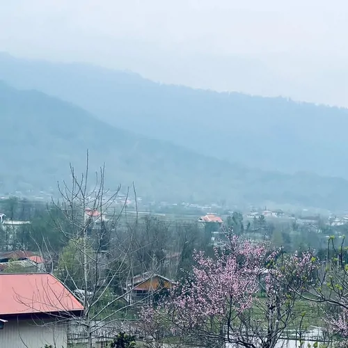تصویر 19 - کلبه چوبی سعدی در  ماسال