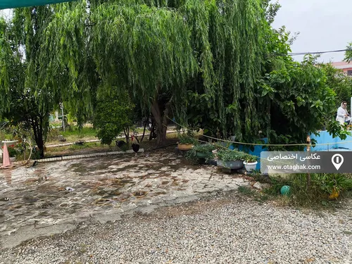 تصویر 19 - اقامتگاه بومگردی مزرعه آفتابگردان (4نفره) در گرگان