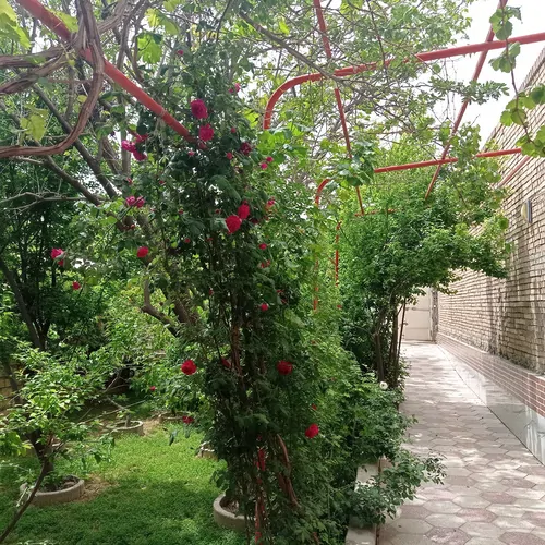 تصویر 5 - ویلا باغ استخر آبگرم در  اصفهان