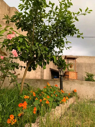 تصویر 16 - ویلا دیار در رشت