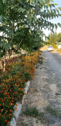 تصویر 9 - ویلا کندیم (9) در  نمین