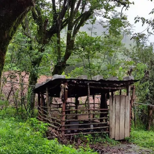 تصویر 2 - روستایی و عشایری تی تی در شهسوار