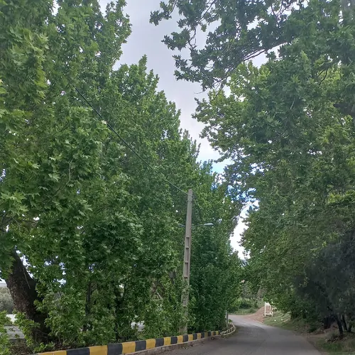 تصویر 21 - خانه مبله سرو در  رودبار