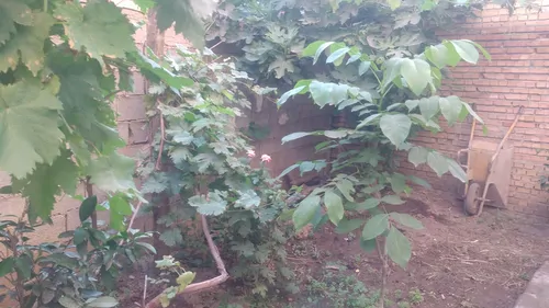 تصویر 2 - سوییت جنت در مینودشت