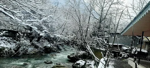 تصویر 33 - ویلا دلنواز کنار رودخانه در ماسال