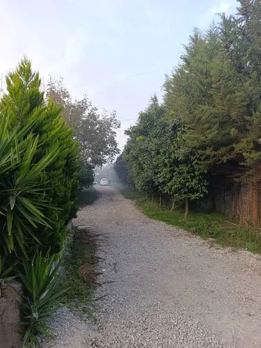 تصویر 29 - ویلا استخردار آبگرم سرپوشیده شیشه ای جنگلی در عباس آباد