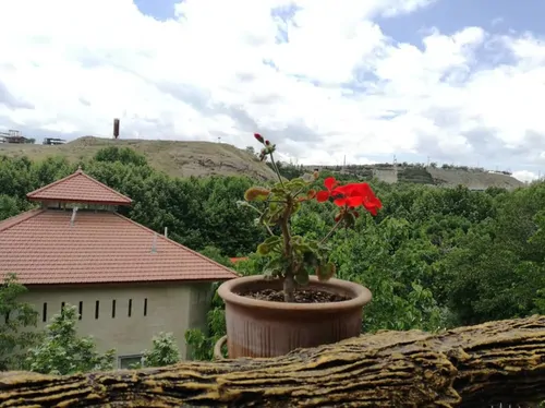 تصویر 19 - ویلا ملیسا با جکوزی آبگرم در  مشهد