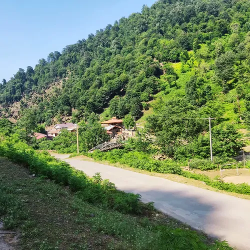 تصویر 2 - کلبه کلبه چوبی رضا حیدری در ماسال