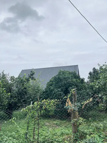 تصویر 11 - کلبه سوئیسی وودا  در  رامسر