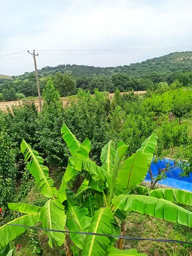 تصویر 18 - کلبه بابا حیدر  در  گرگان