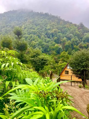 تصویر 4 - کلبه کلبه سوئیسی راشا  در ماسال