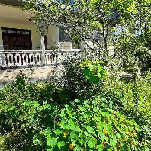 تصویر 20 - ویلا جنگلی پارسا در  ماسال