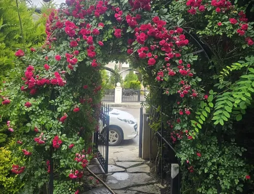 تصویر 21 - ویلا لوکس استخردار آبگرم یاس با بیلیارد در  بابلسر