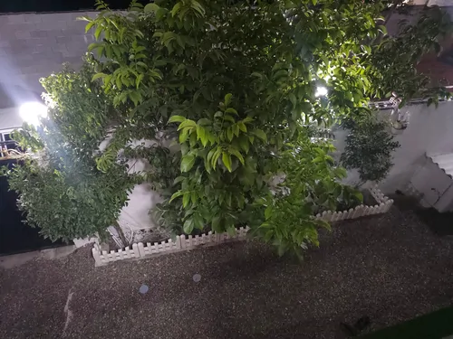 تصویر 16 - کلبه چوبی محمدی در انزلی